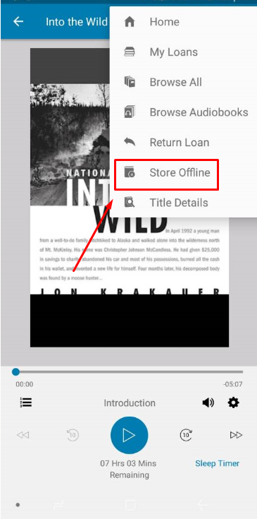 Store Offline option for an ePlatform Audiobook